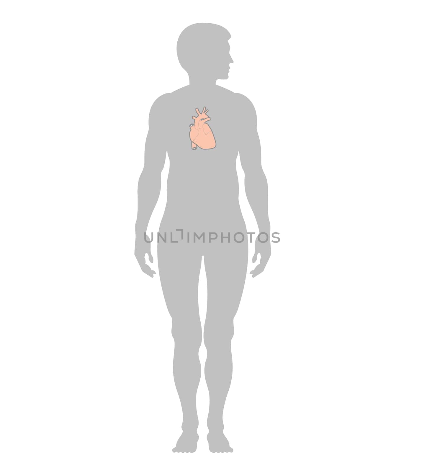 Man and heart