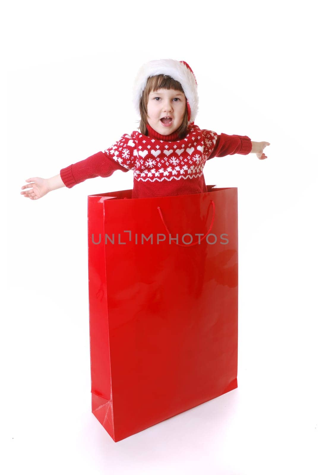 Christmas Portrait