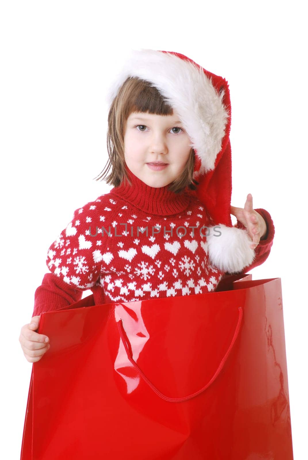 Christmas Portrait