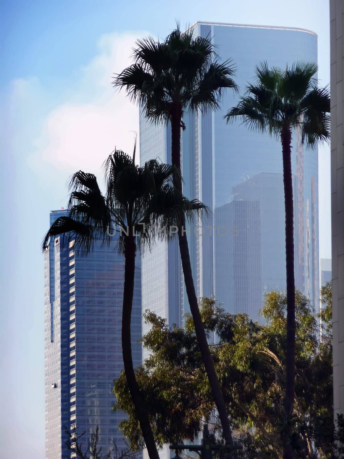 Los Angeles