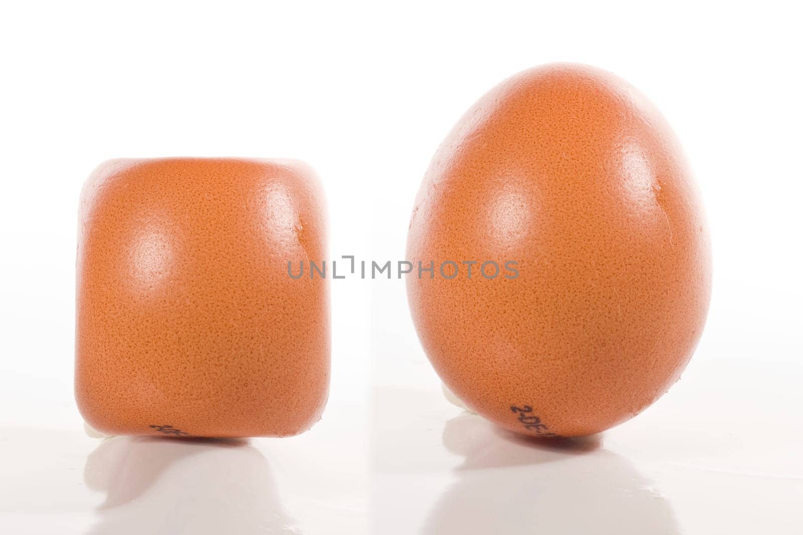 Eggs wd425