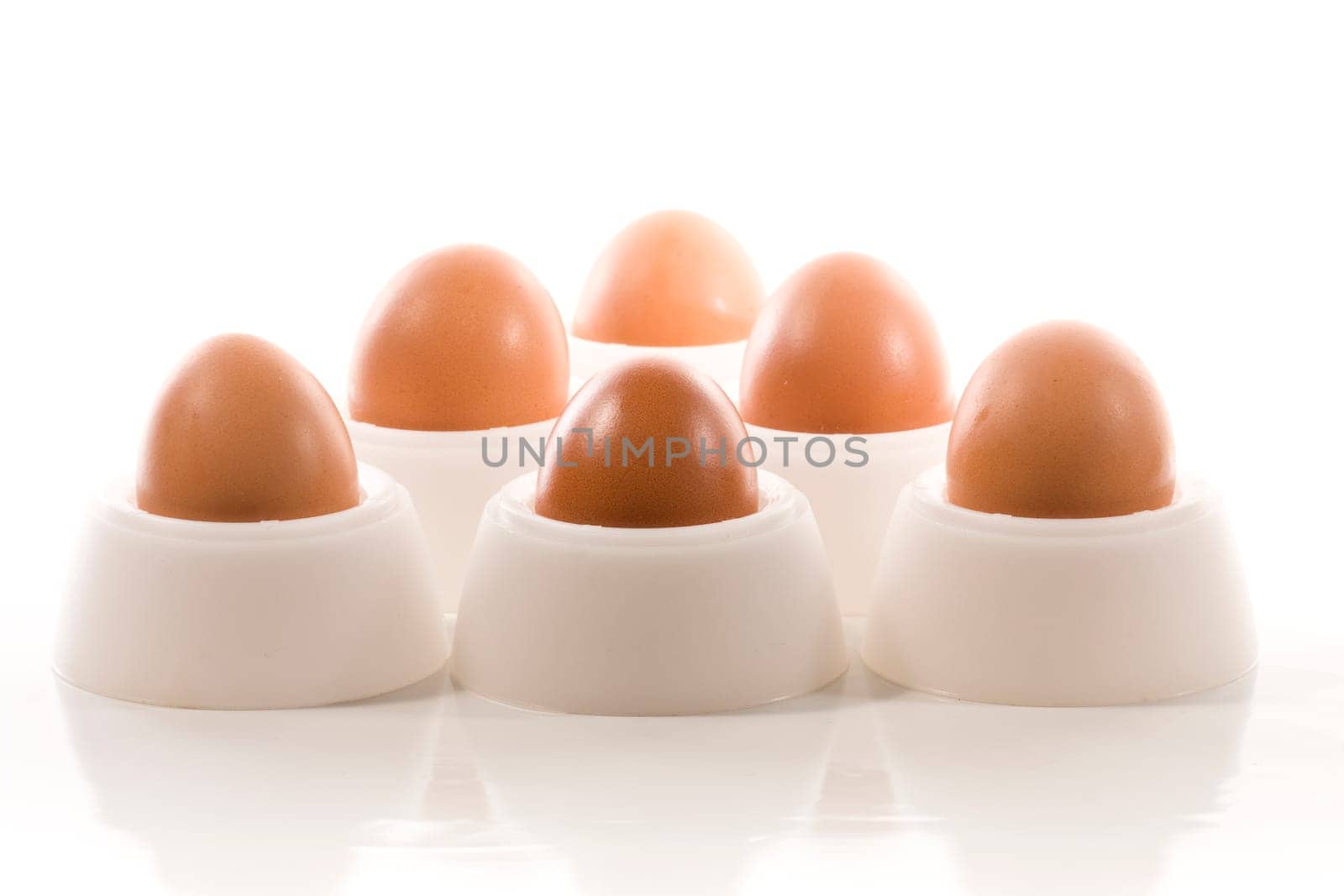 Eggs wd422