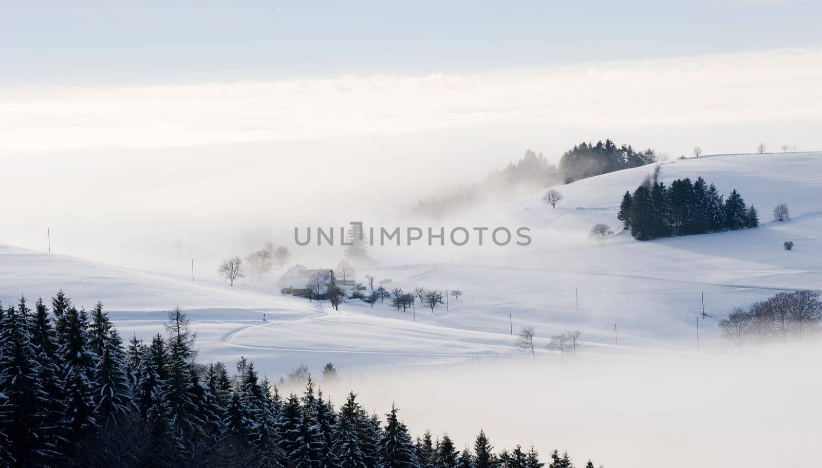 Winter Dream