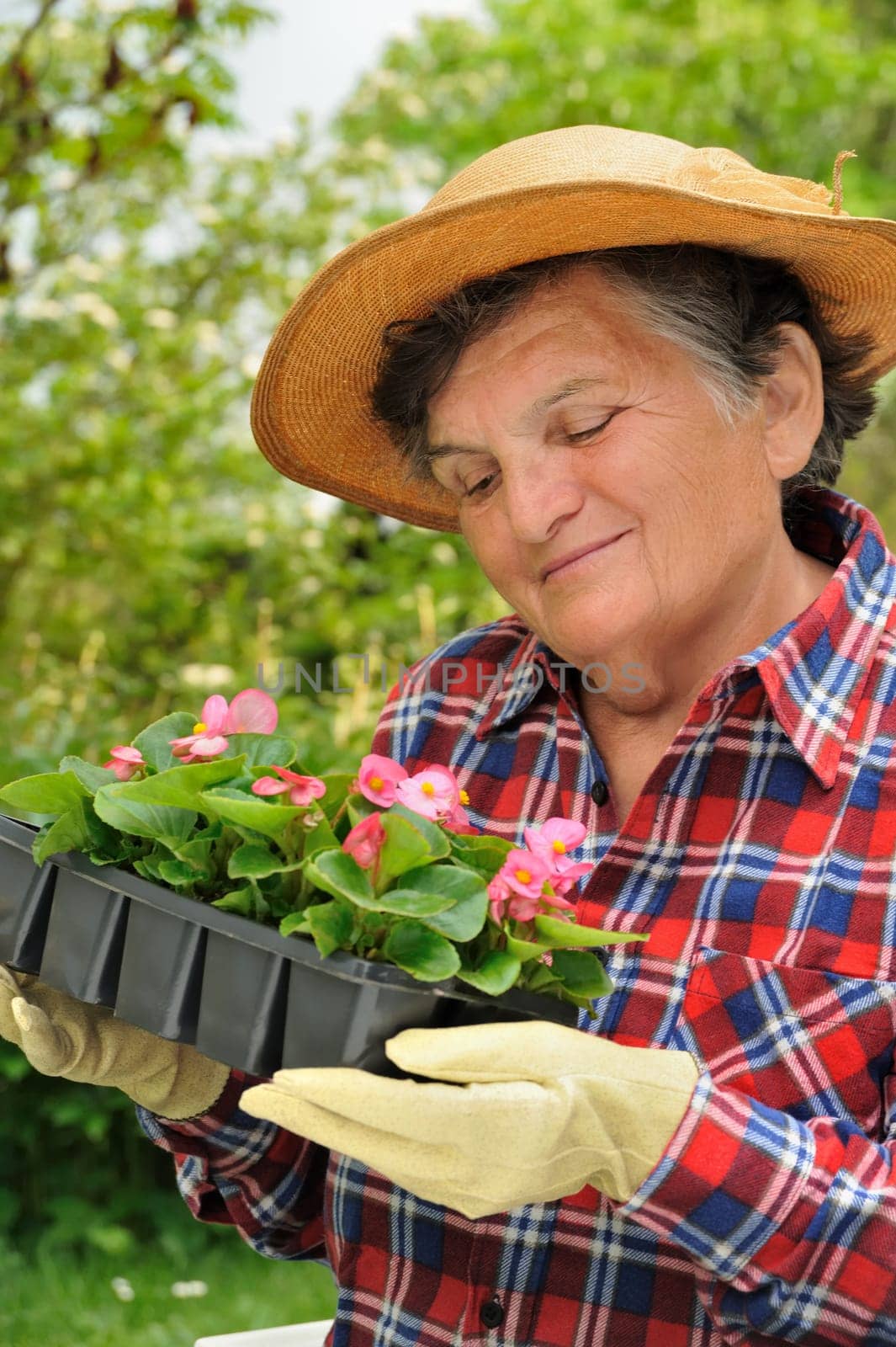 Senior woman - gardening
