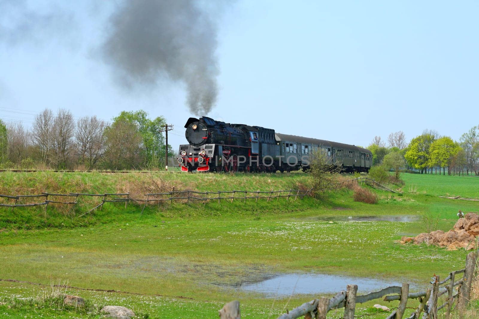 Steam retro train passing through meadow