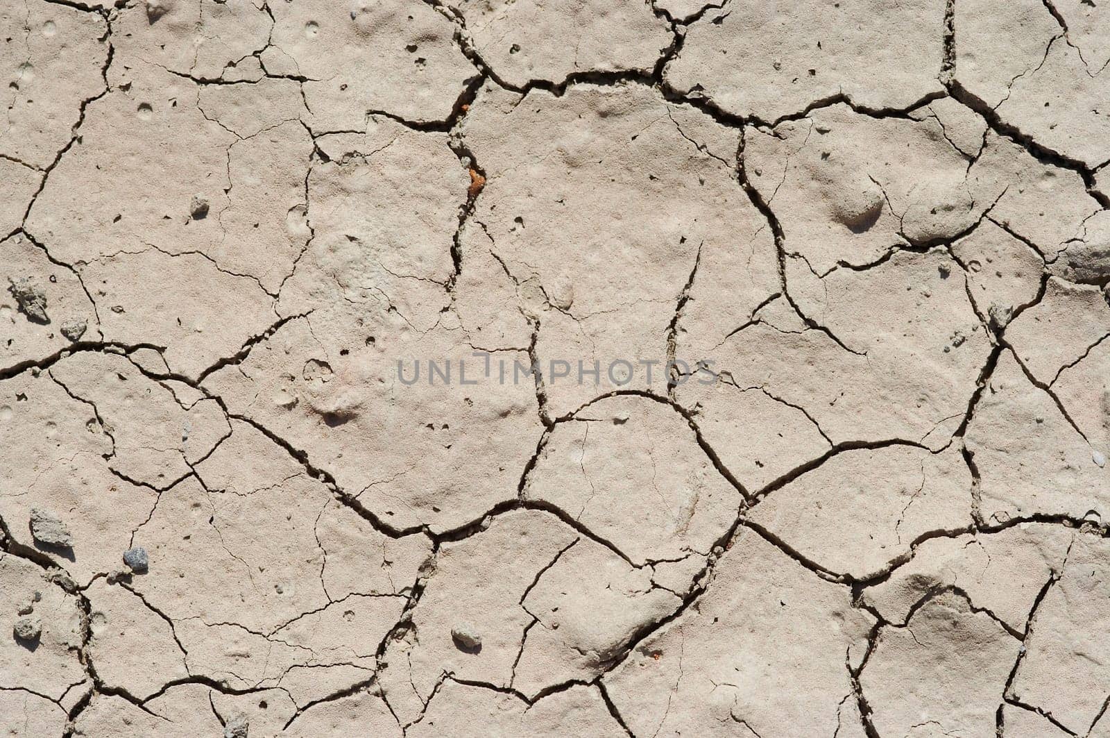 dried ground