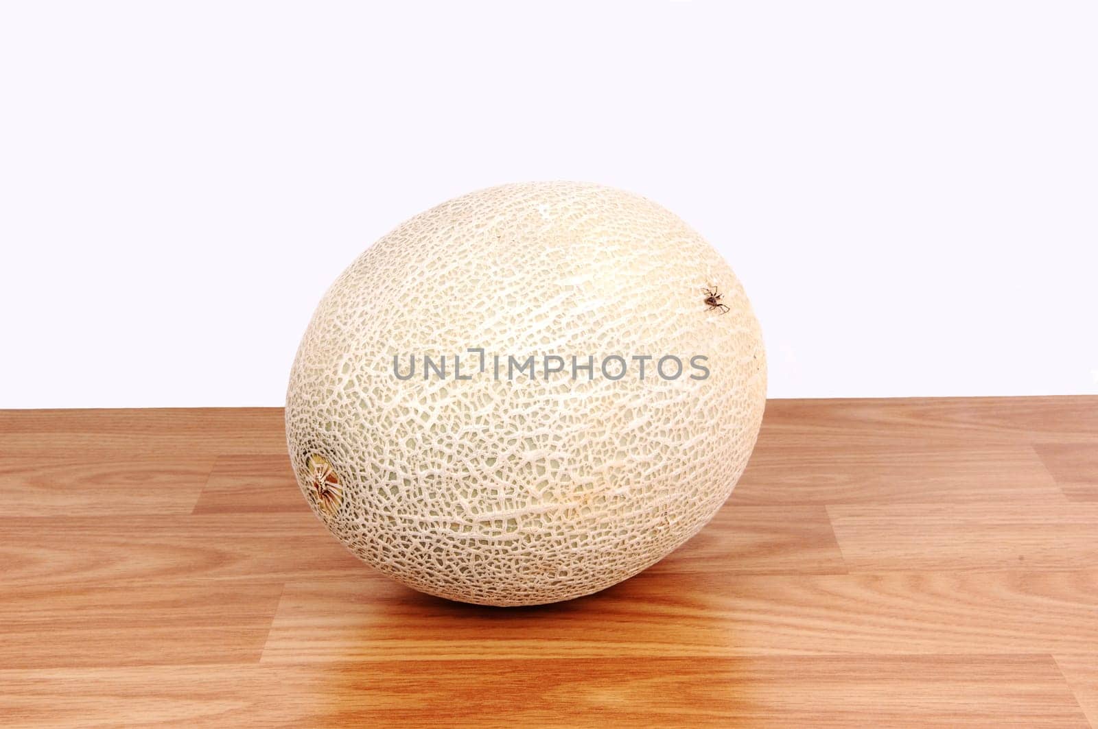 A big cantaloupe.