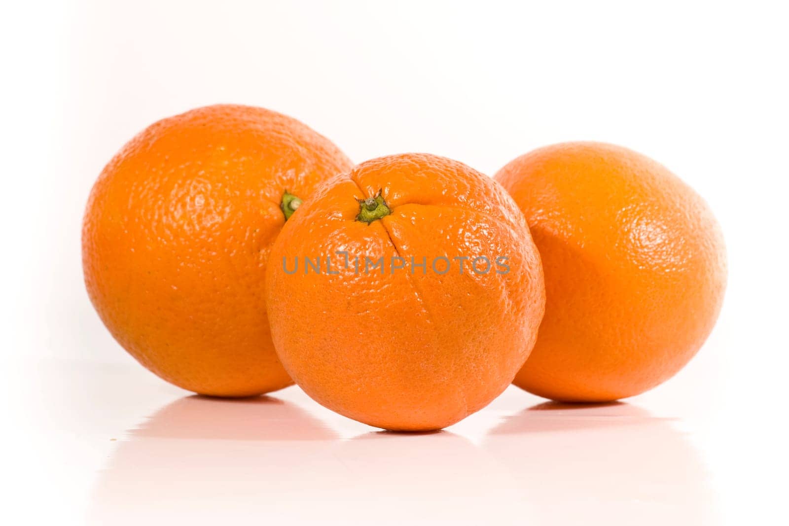 Three Oranges wd459
