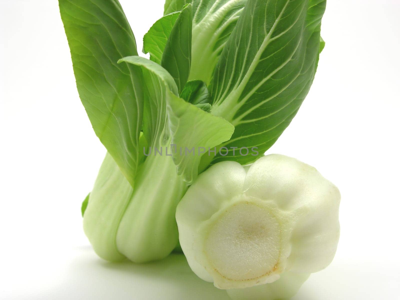Pak Soi arranged against white background