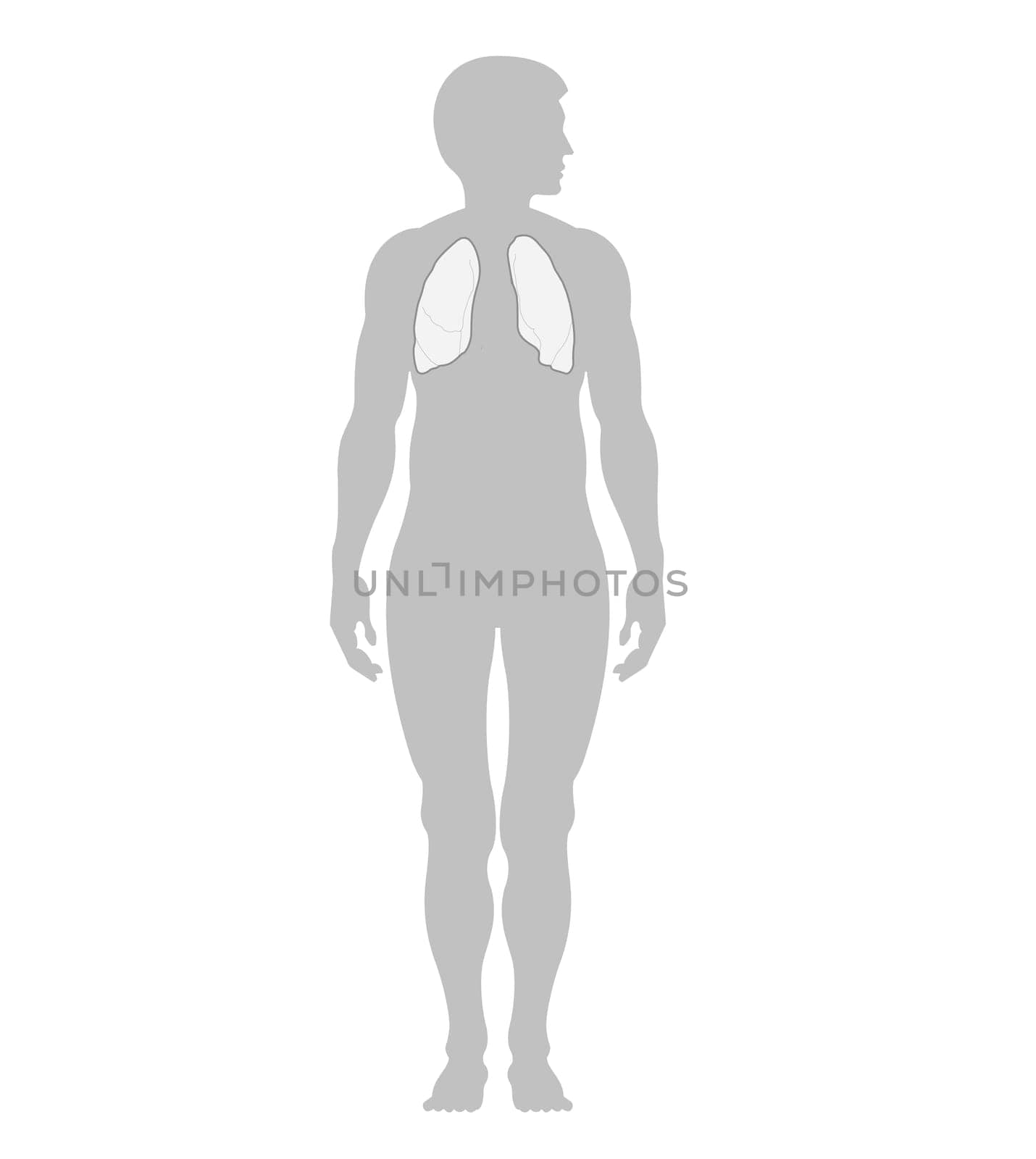 Man and lungs