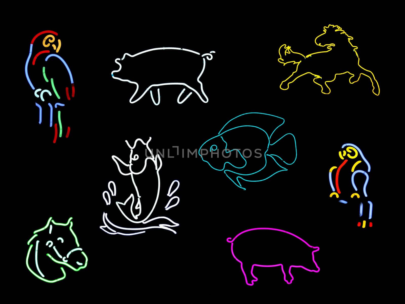 Neon Animal Signs