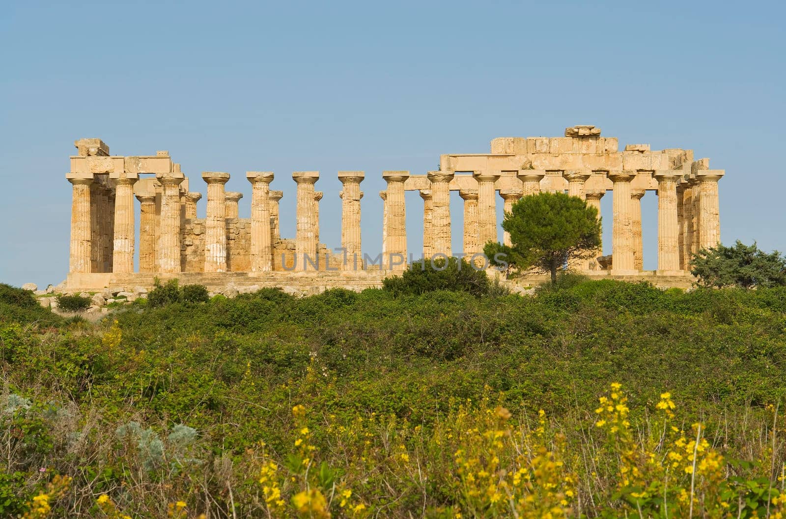 The Temple in Selinunte,Sicily