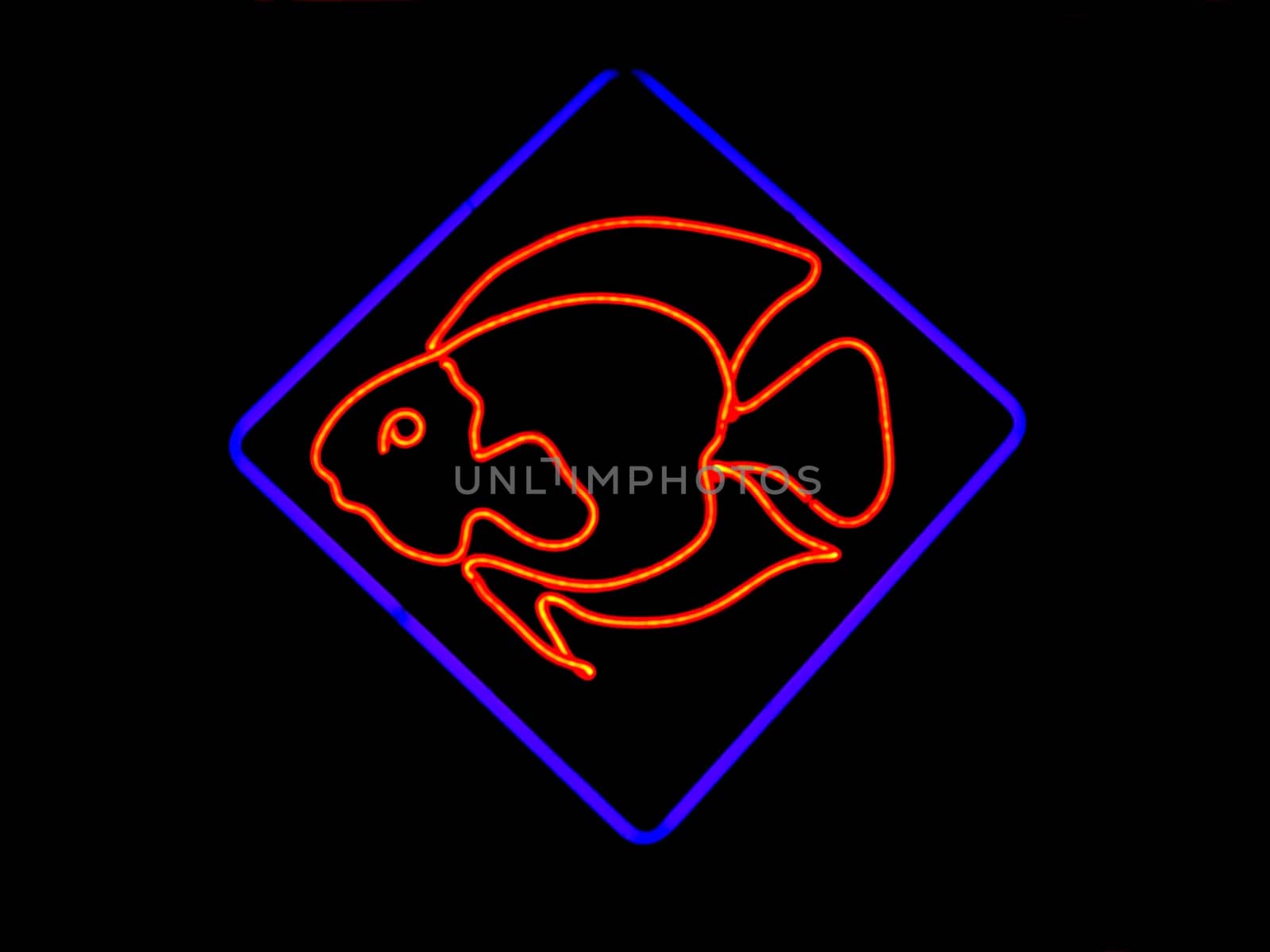 Neon Fish Shaped Sign