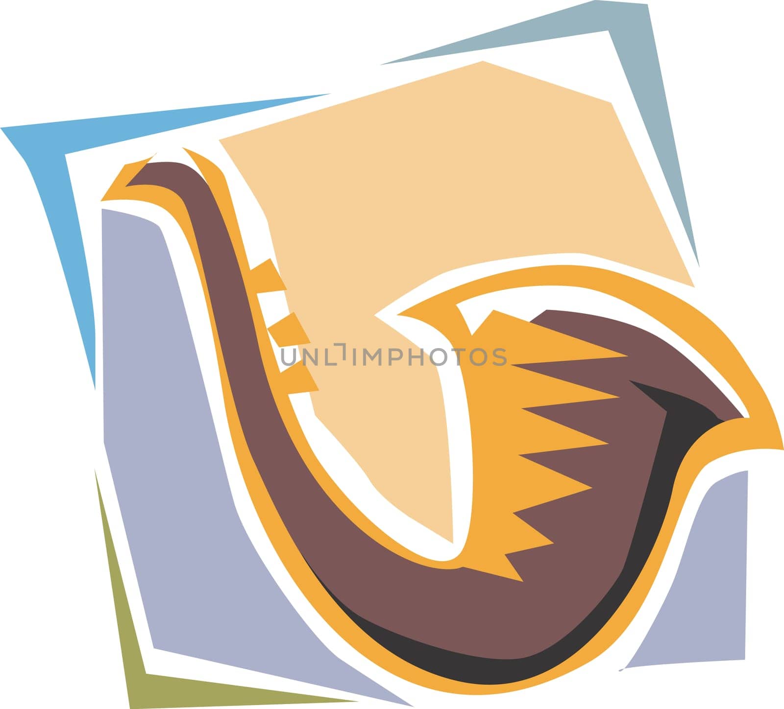Bugle