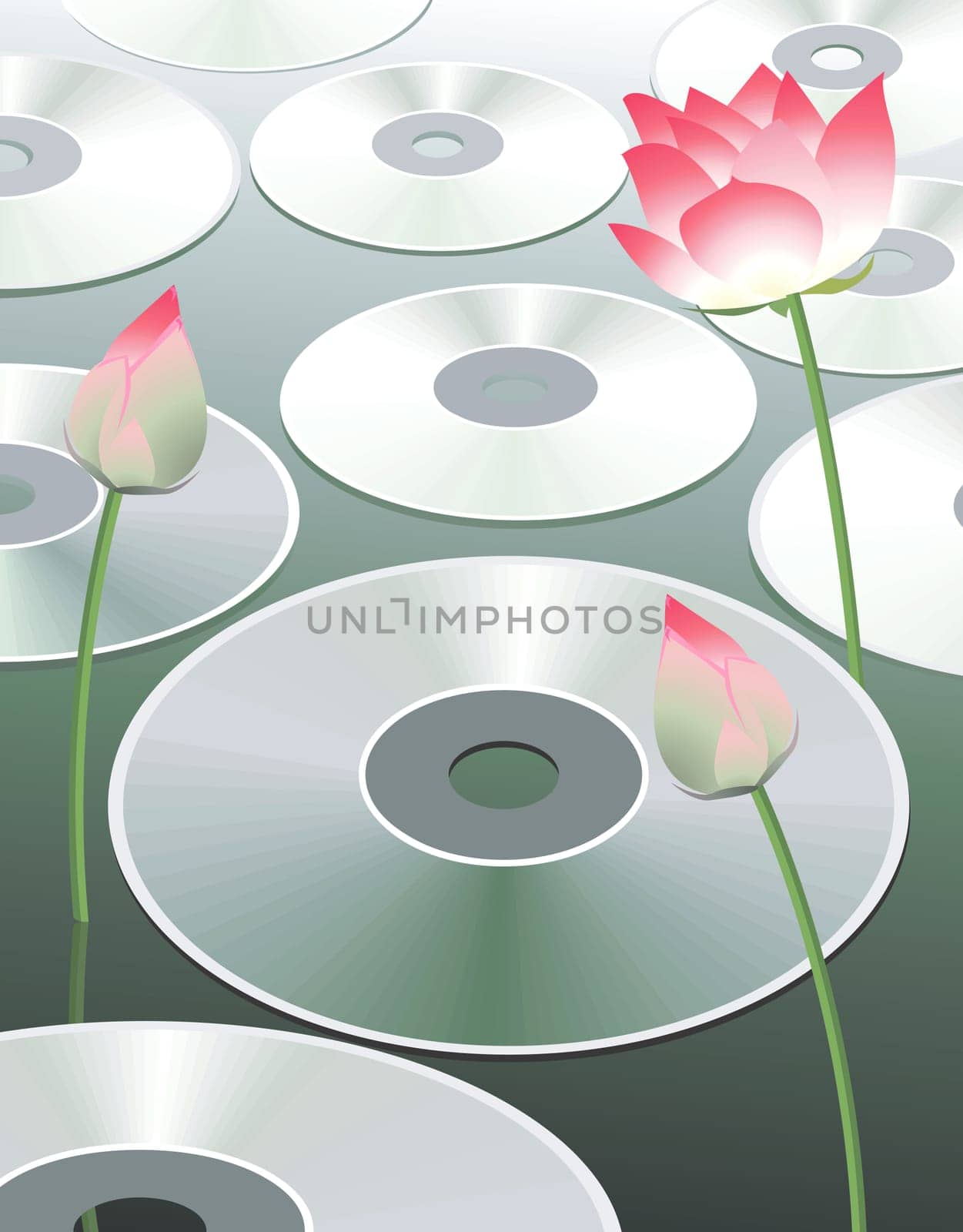 Disk