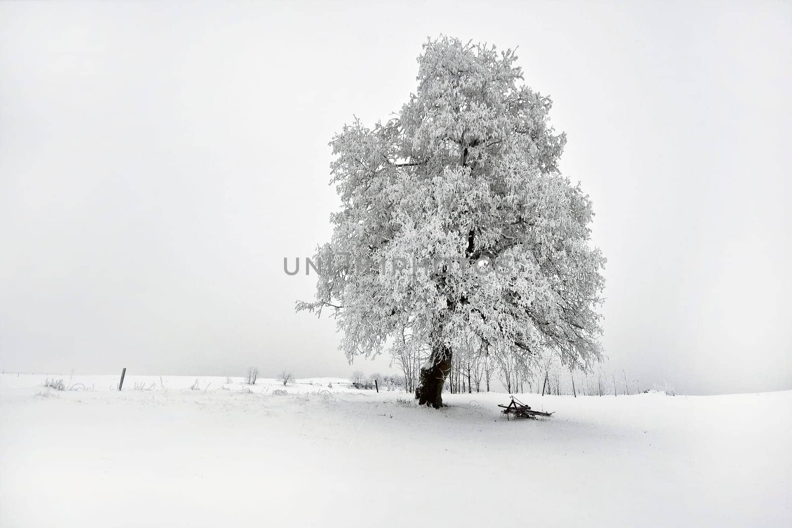 Winter magic.....