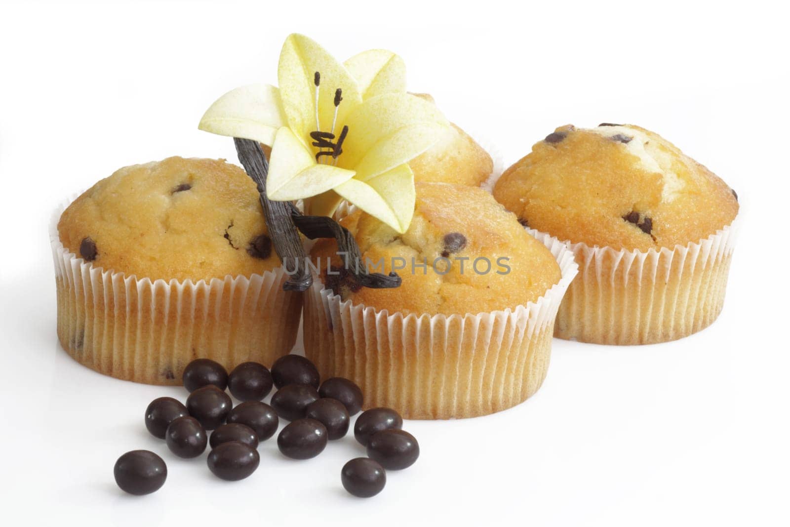Chocolate Muffin