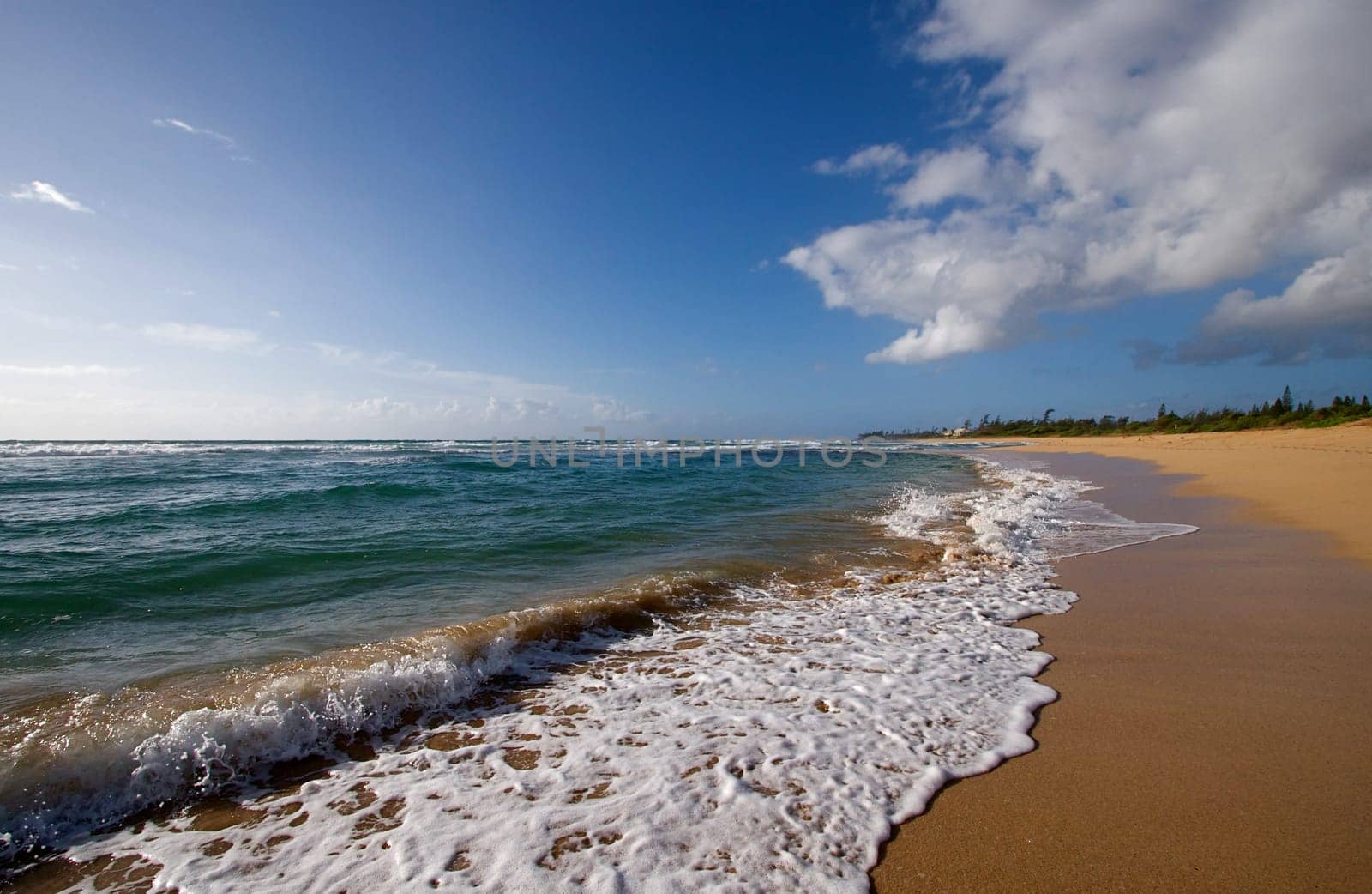Hawaiian Beach