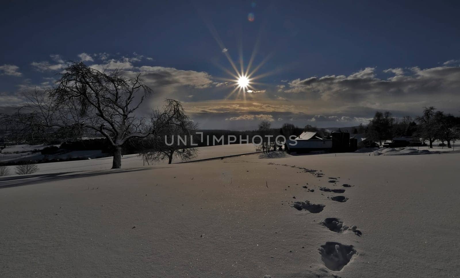 Winter