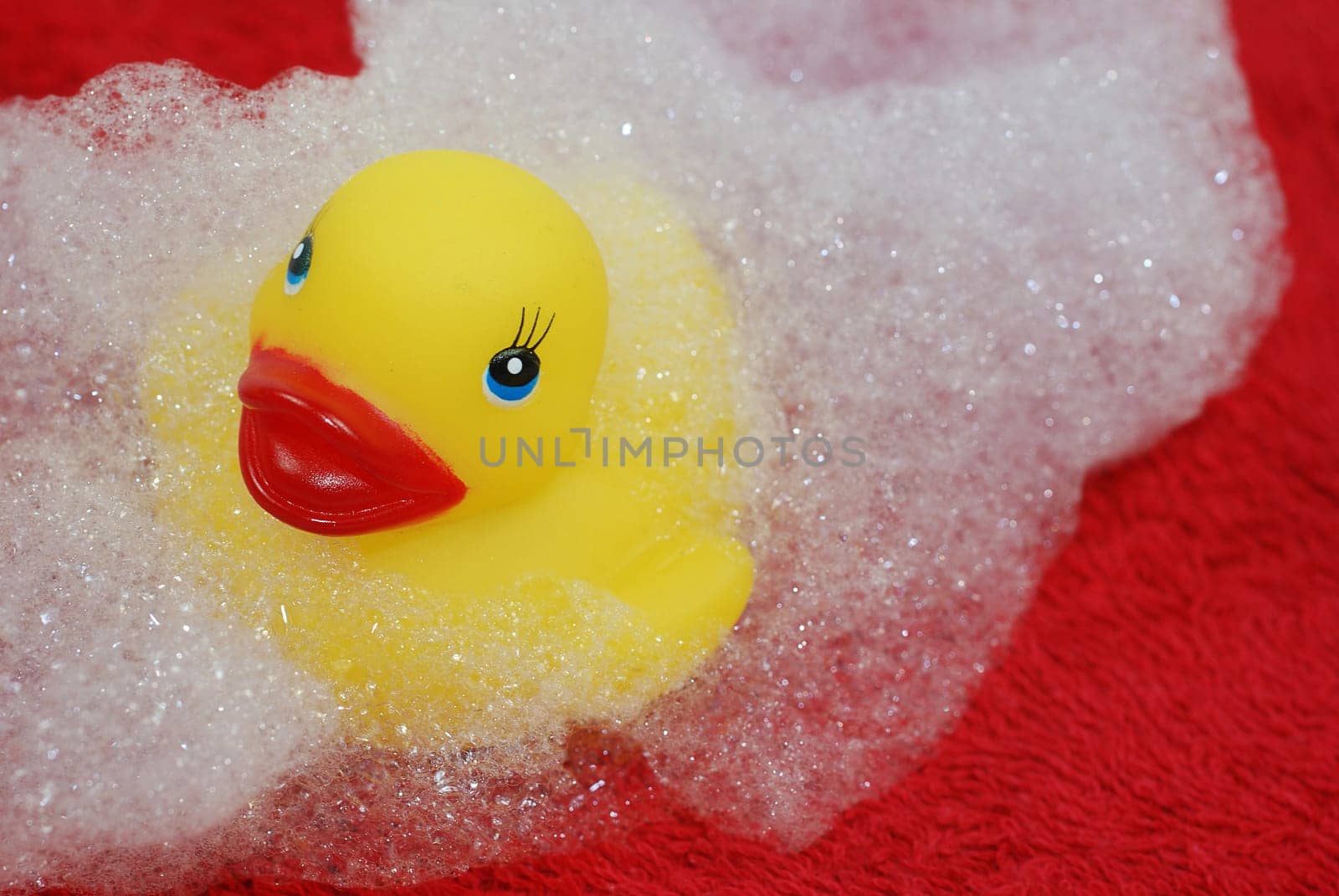 Rubber duck