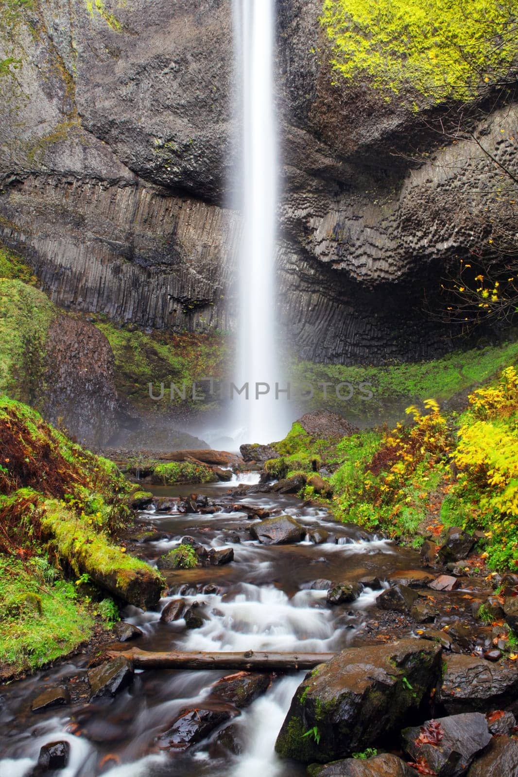 Waterfall in Oregon Autumn