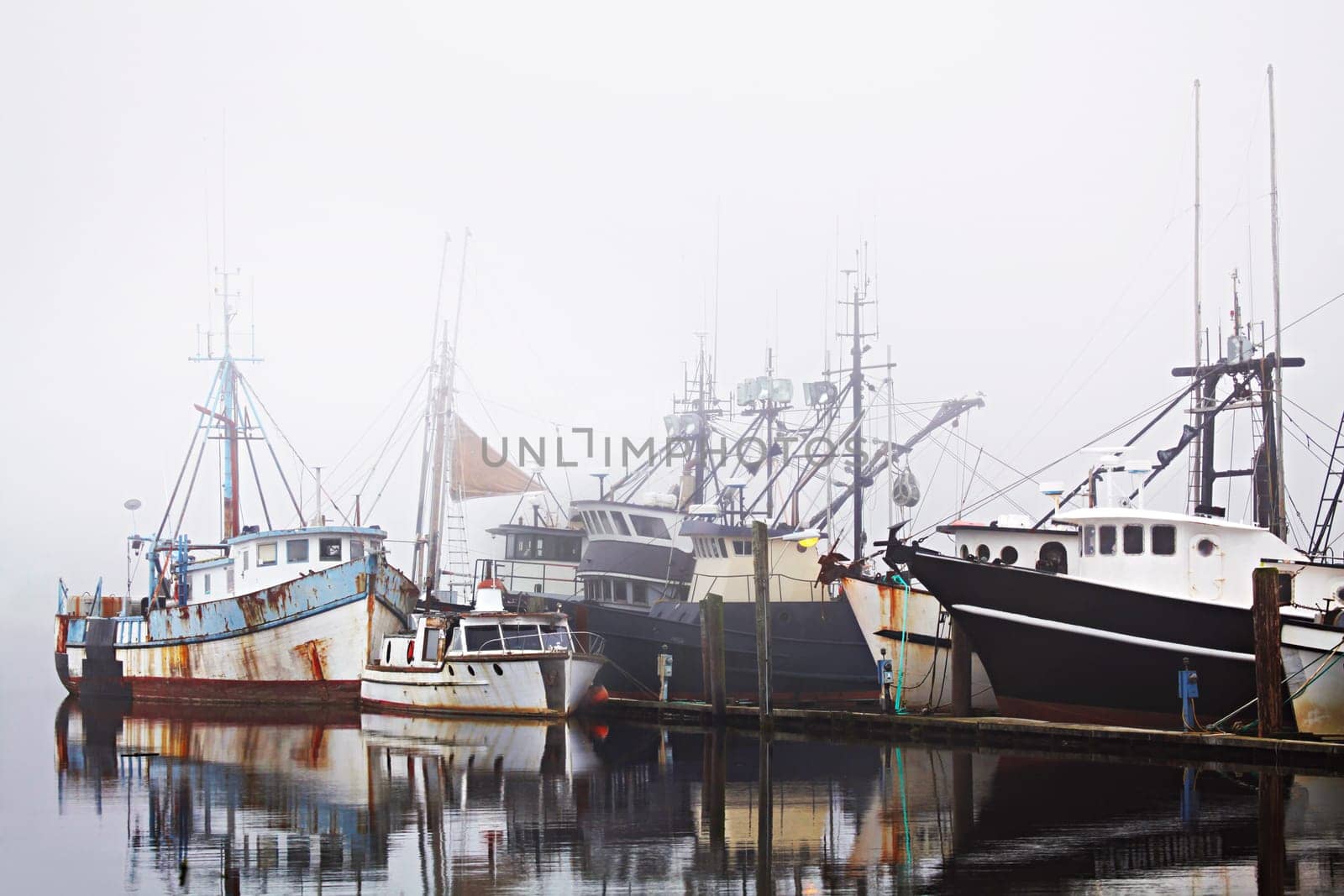fishing boats in harbor fog