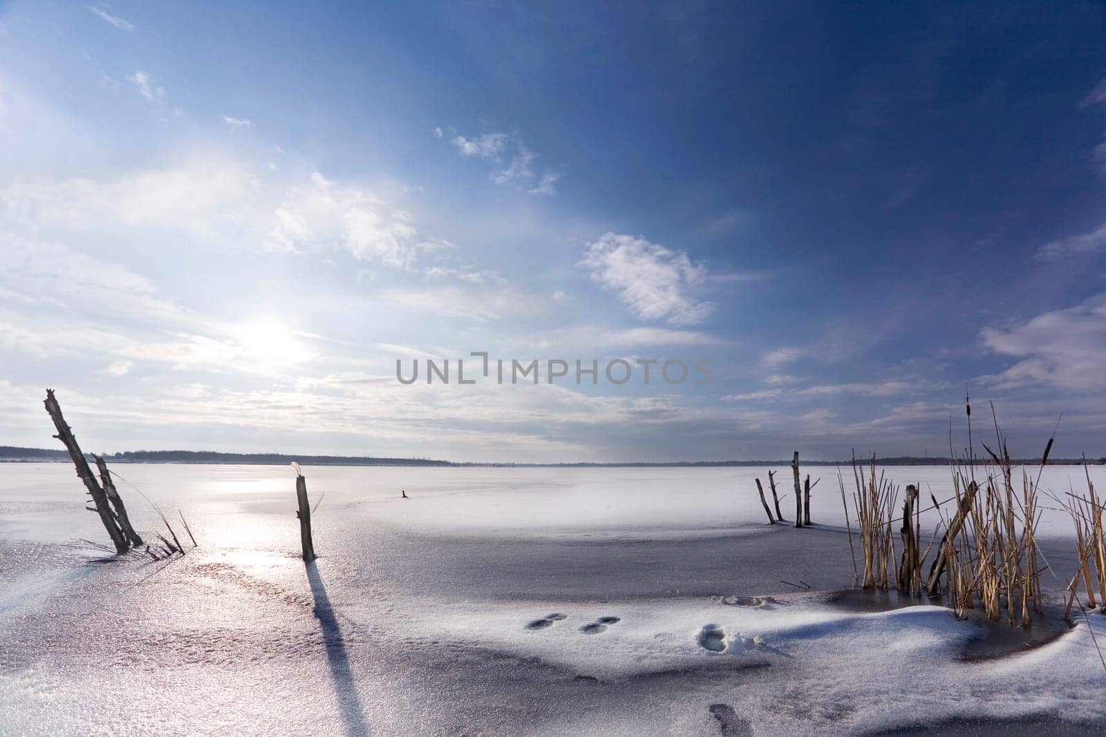 beautiful winter day