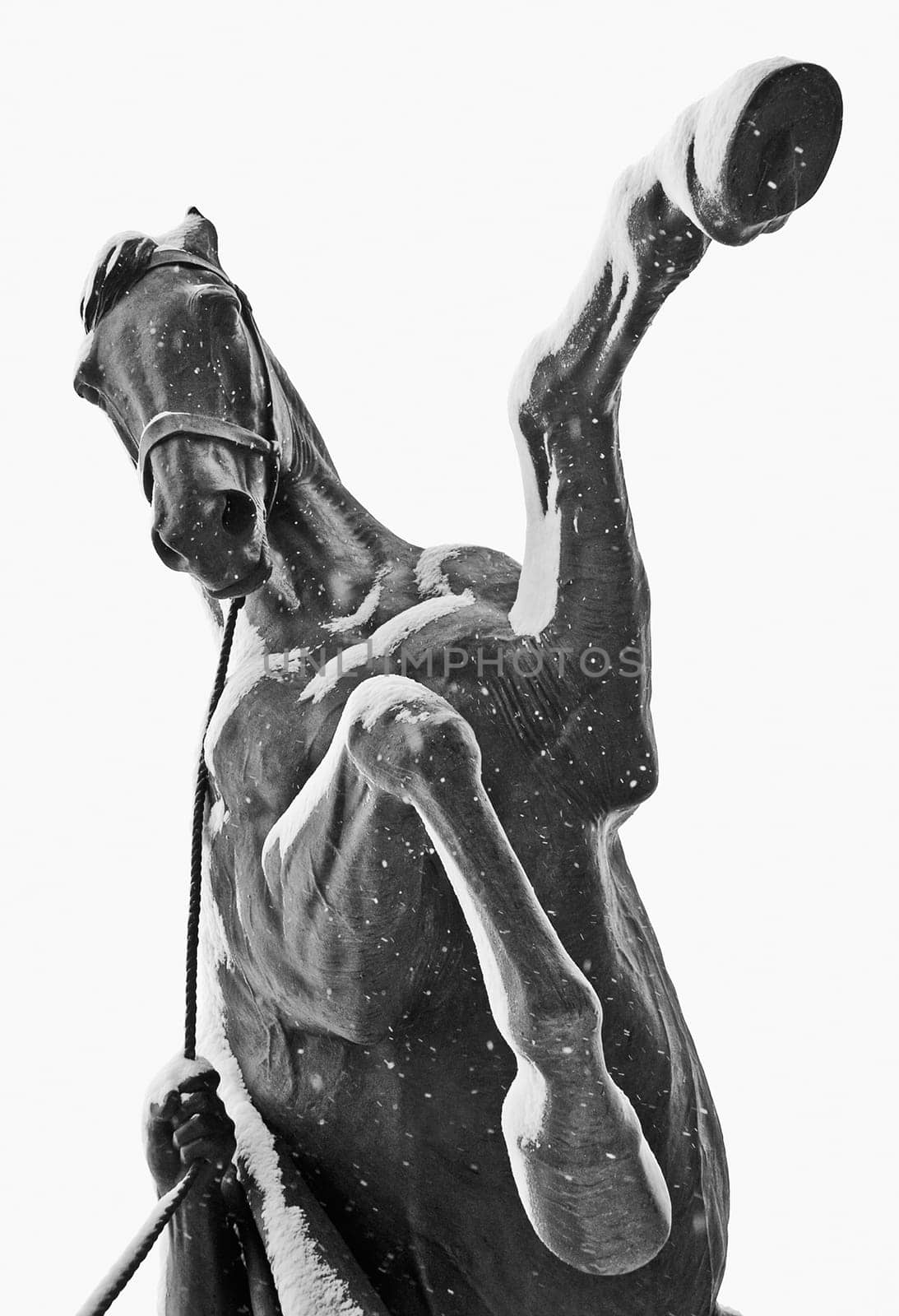 Taming of Horses public sculpture