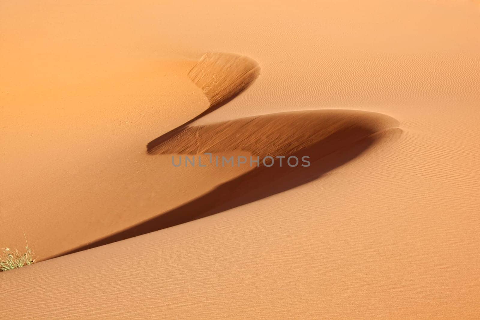 abstract shape in desert sand