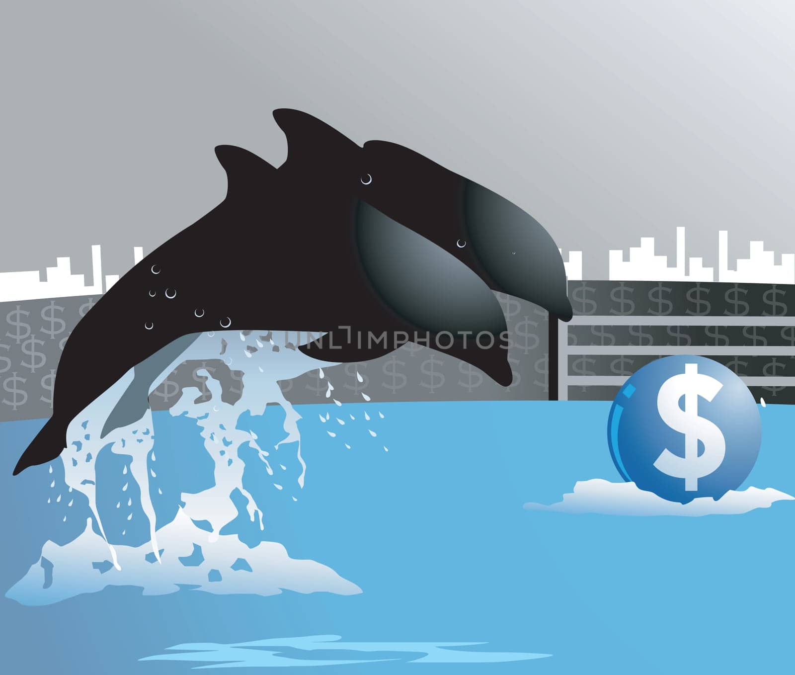 dolphin