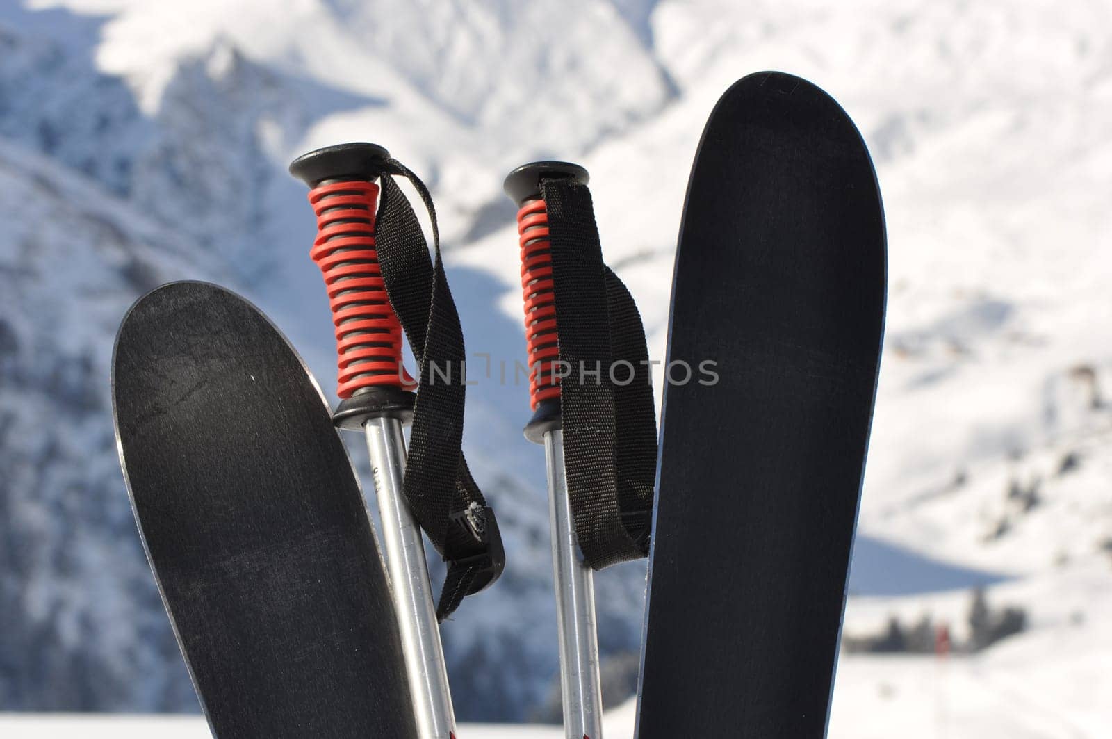 Ski Heil
