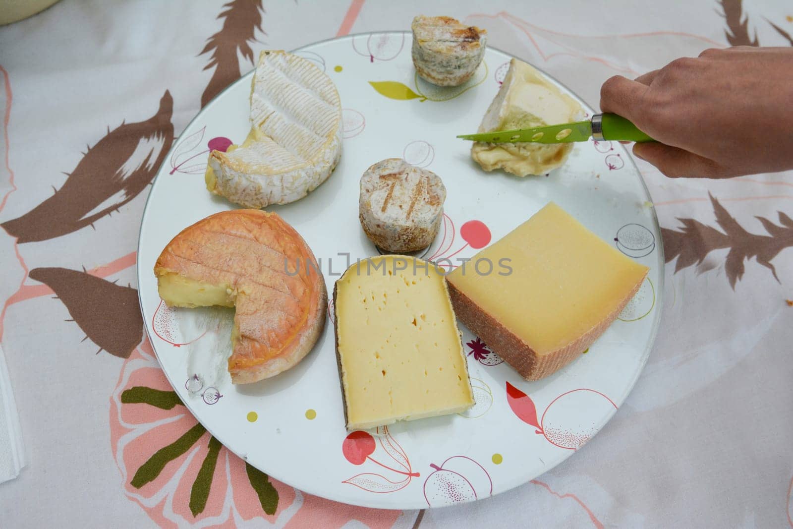 Cheese platter with different cheeses. hand of woman
