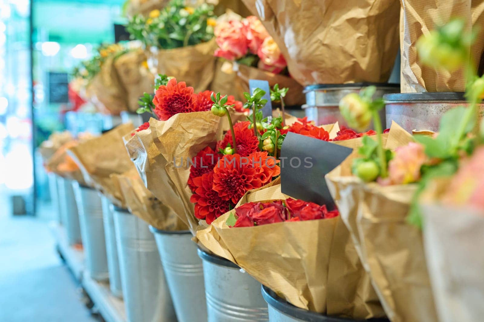 Flower shop, close-up of fresh flowers in buckets, red dahlias. Floristics, small business, flower decoration of apartments, houses, offices, gifts for holidays, summer autumn season