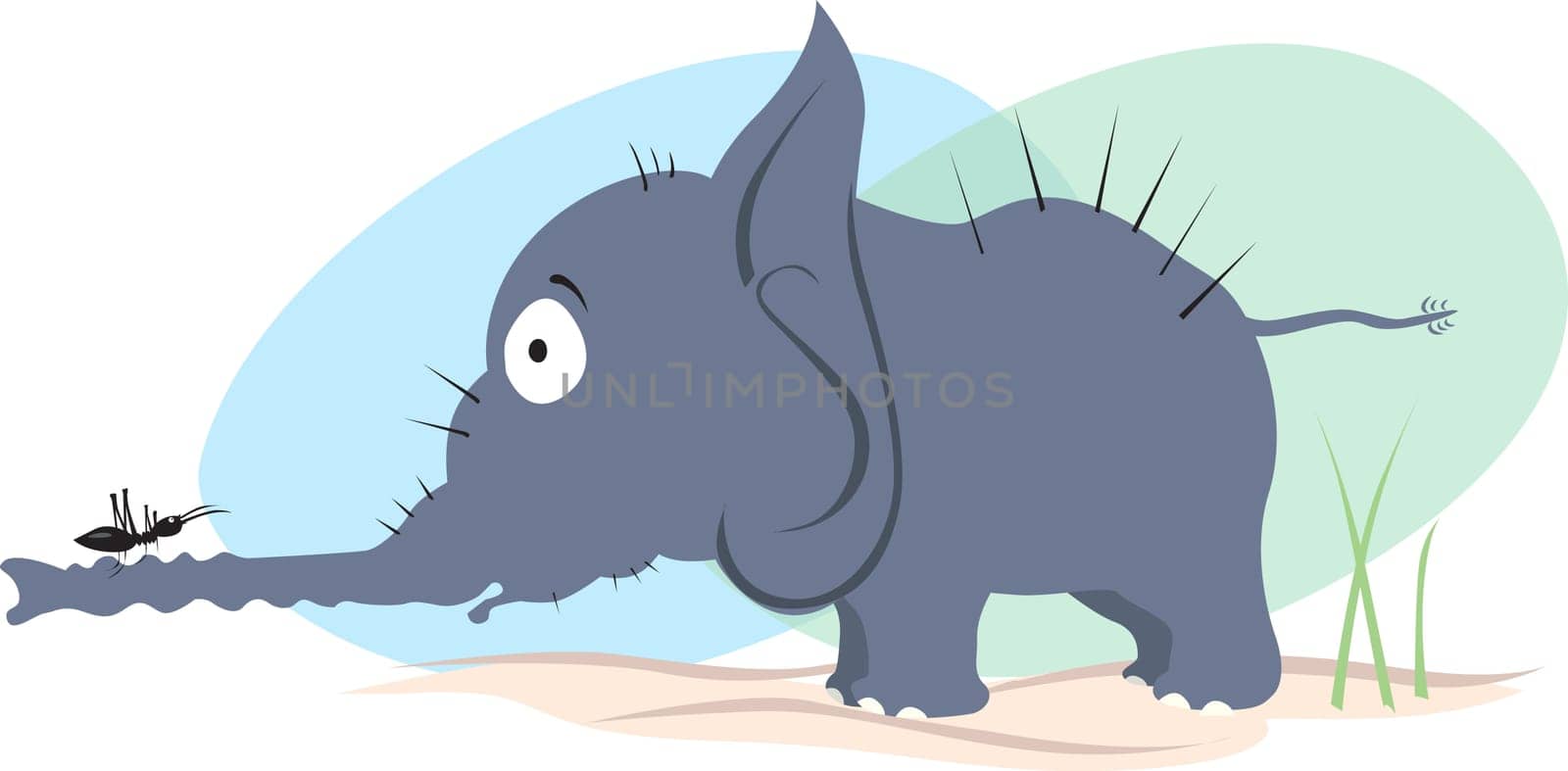 Elephant