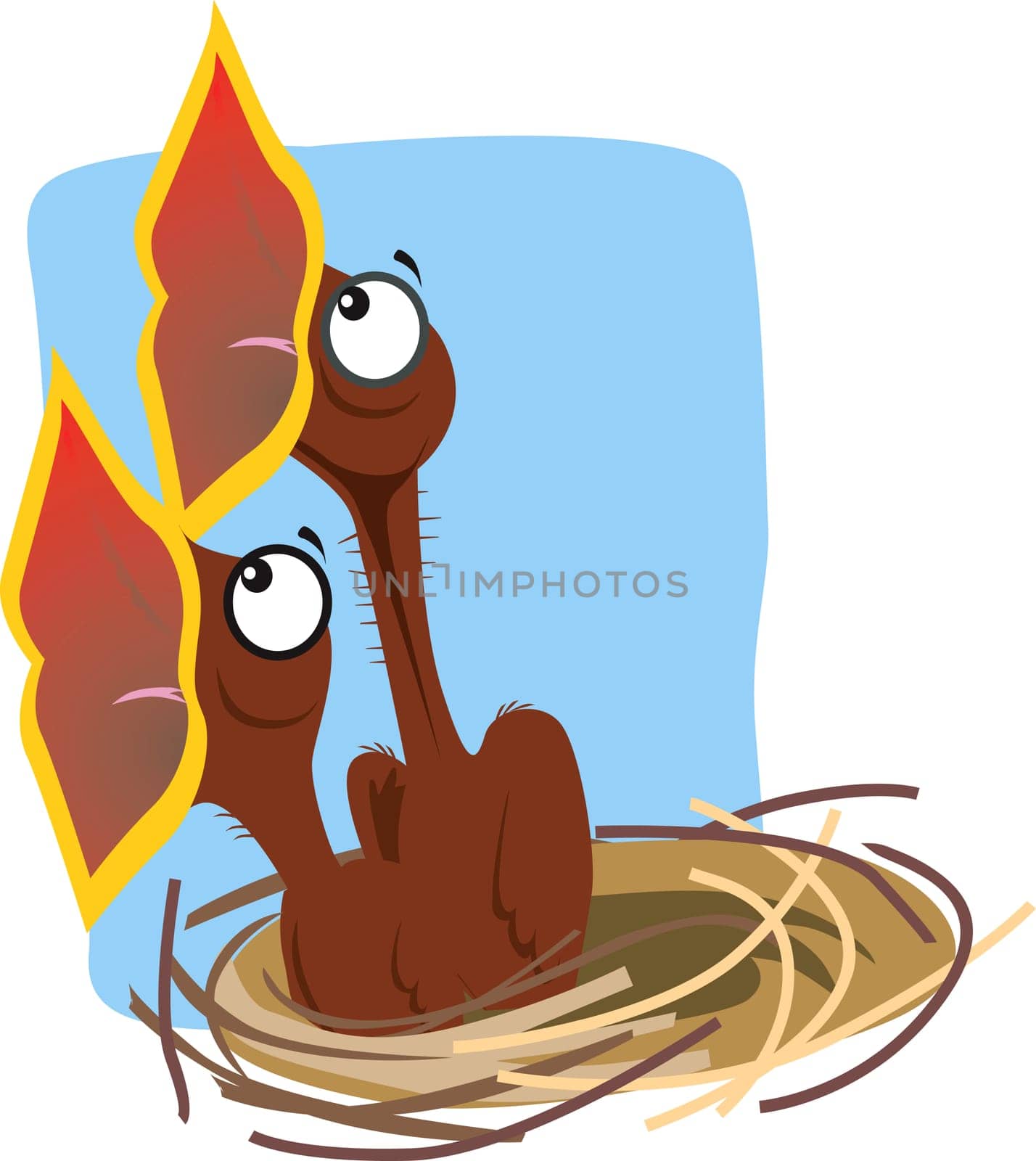 bird
