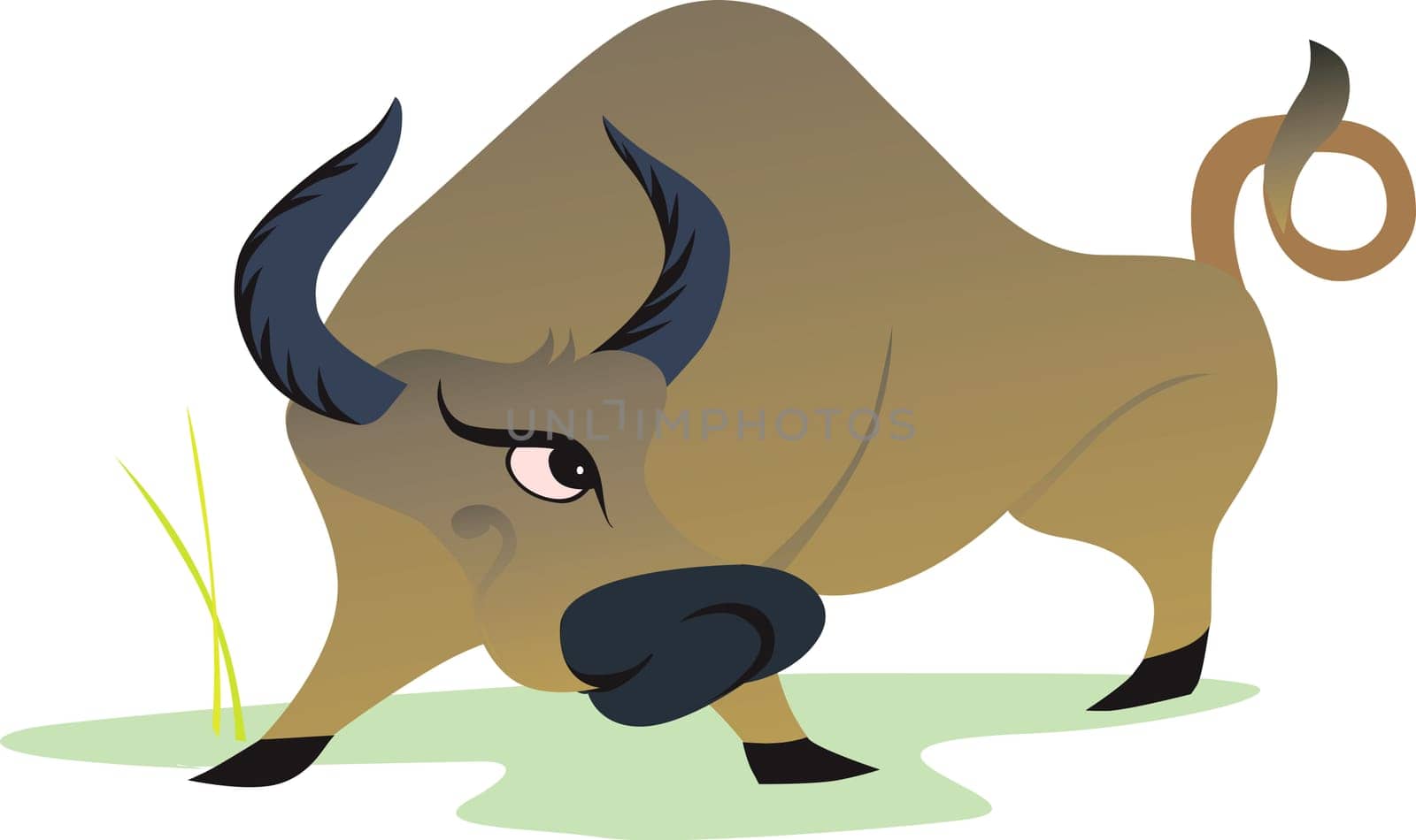 buffalo