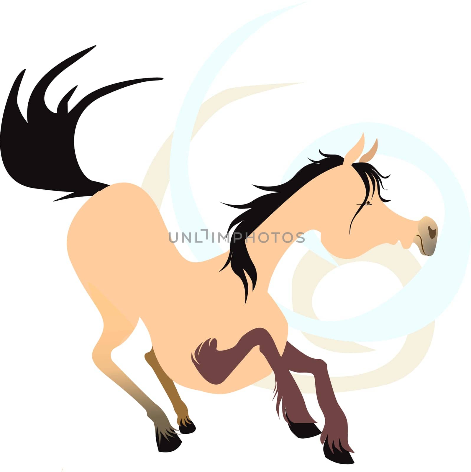 horse