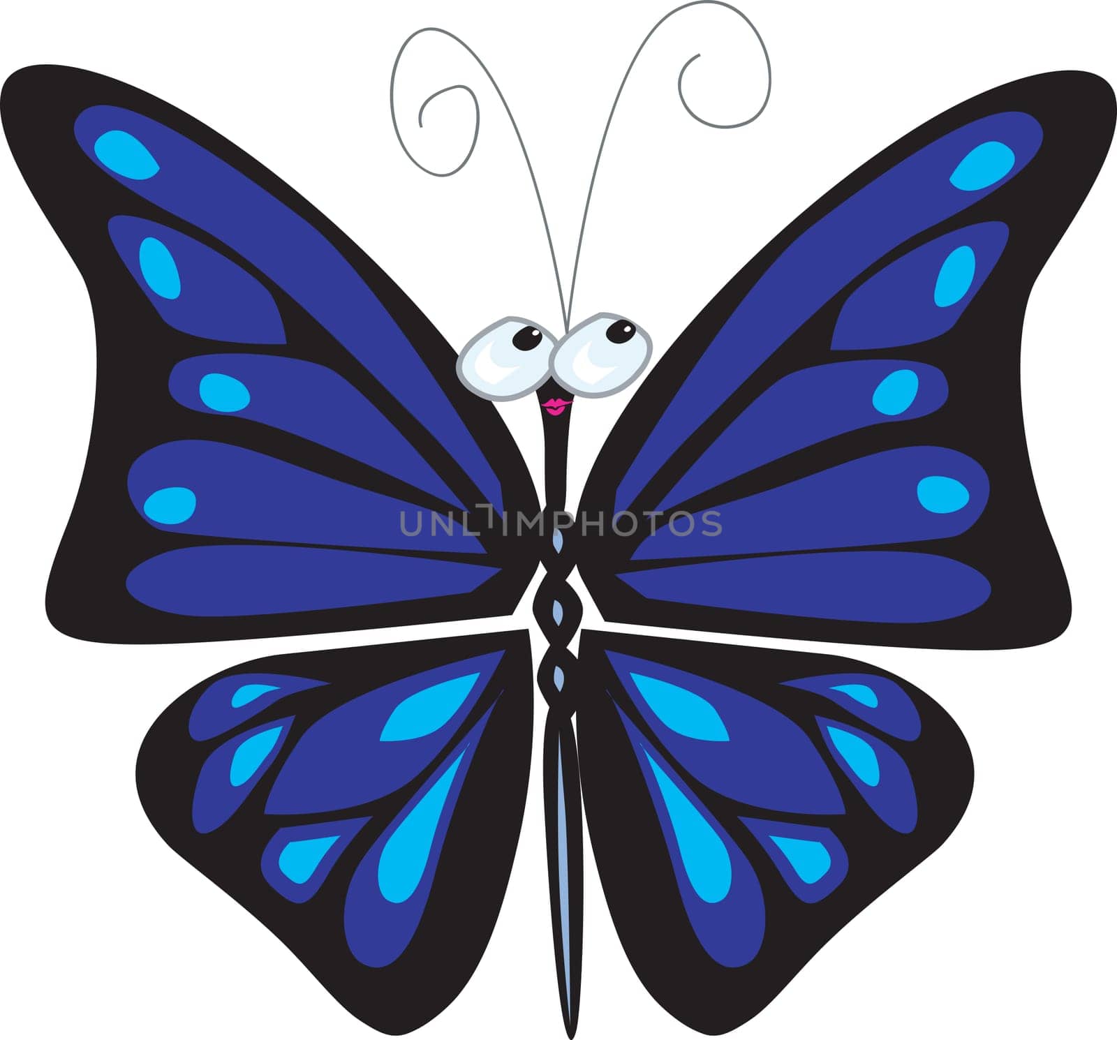 butterfly