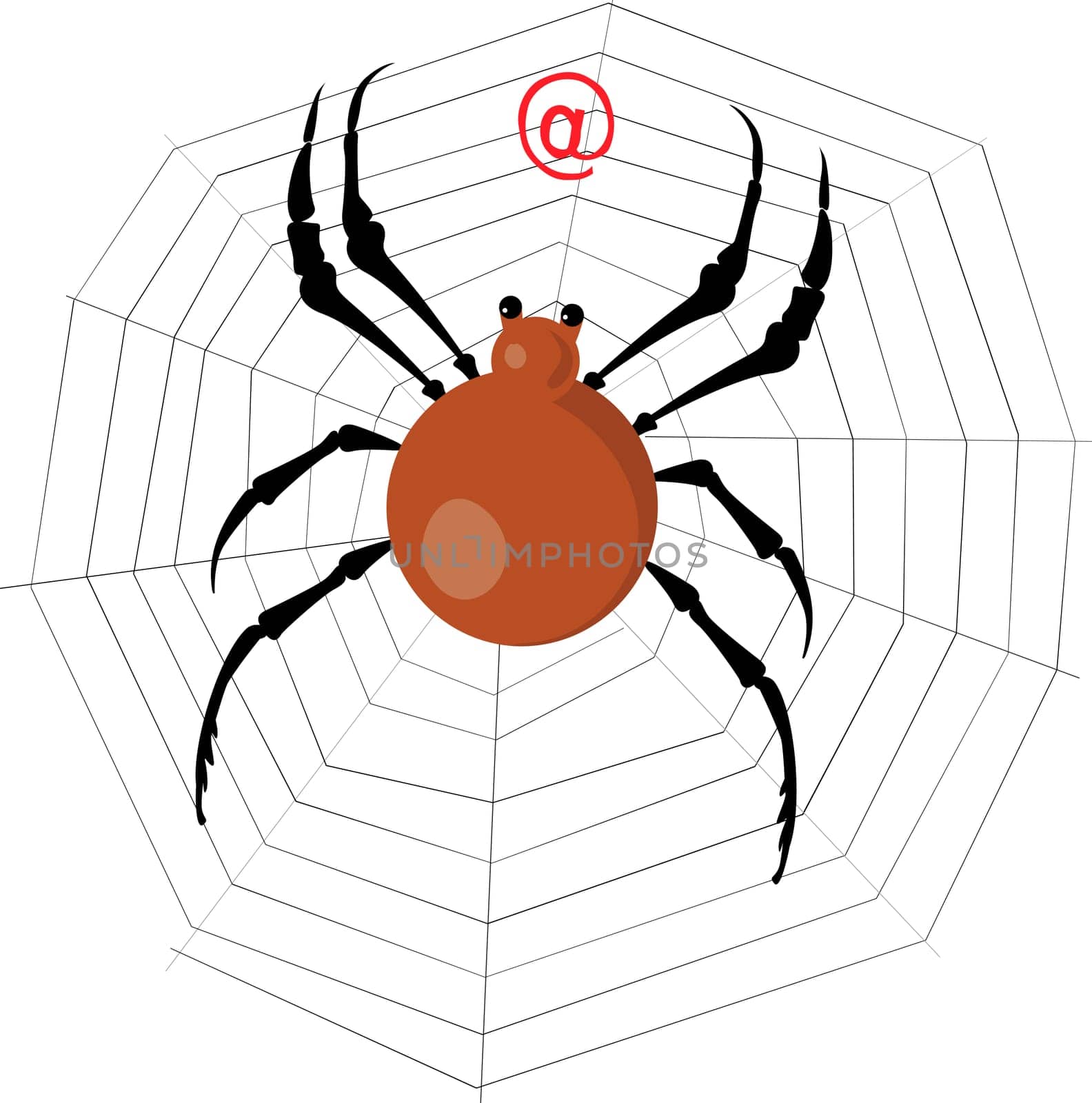 spider