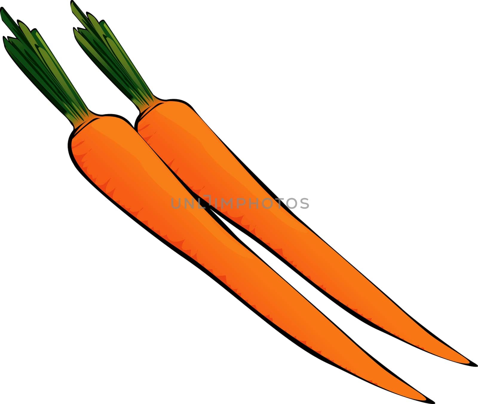 Carrot