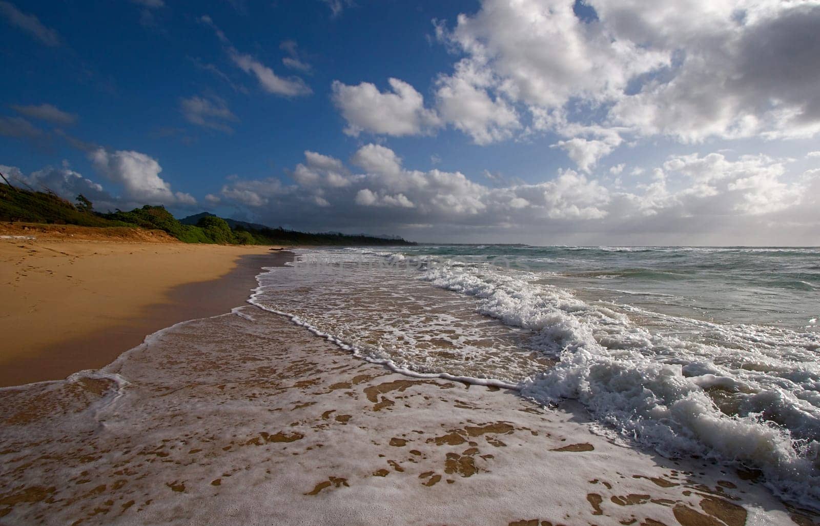 Hawaiian Beach