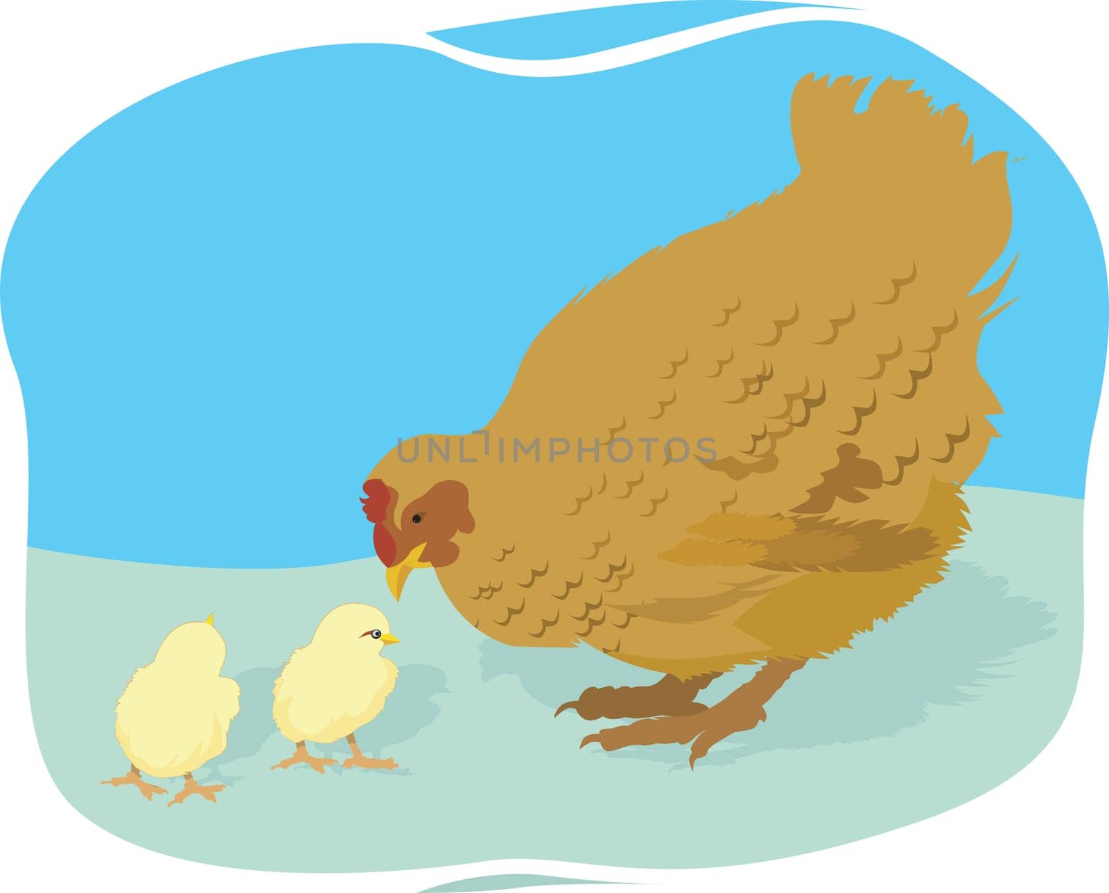 Hen