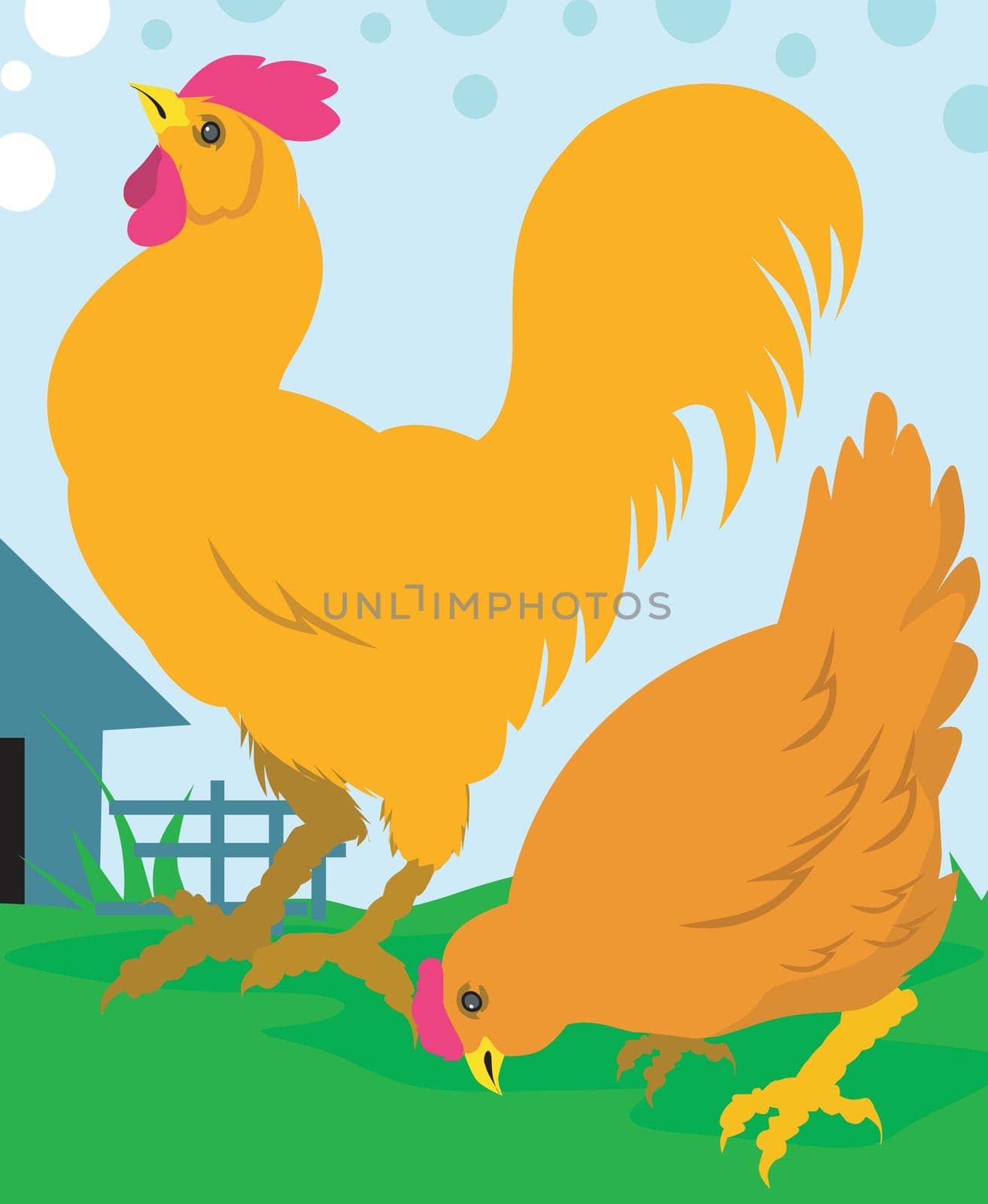 Hen