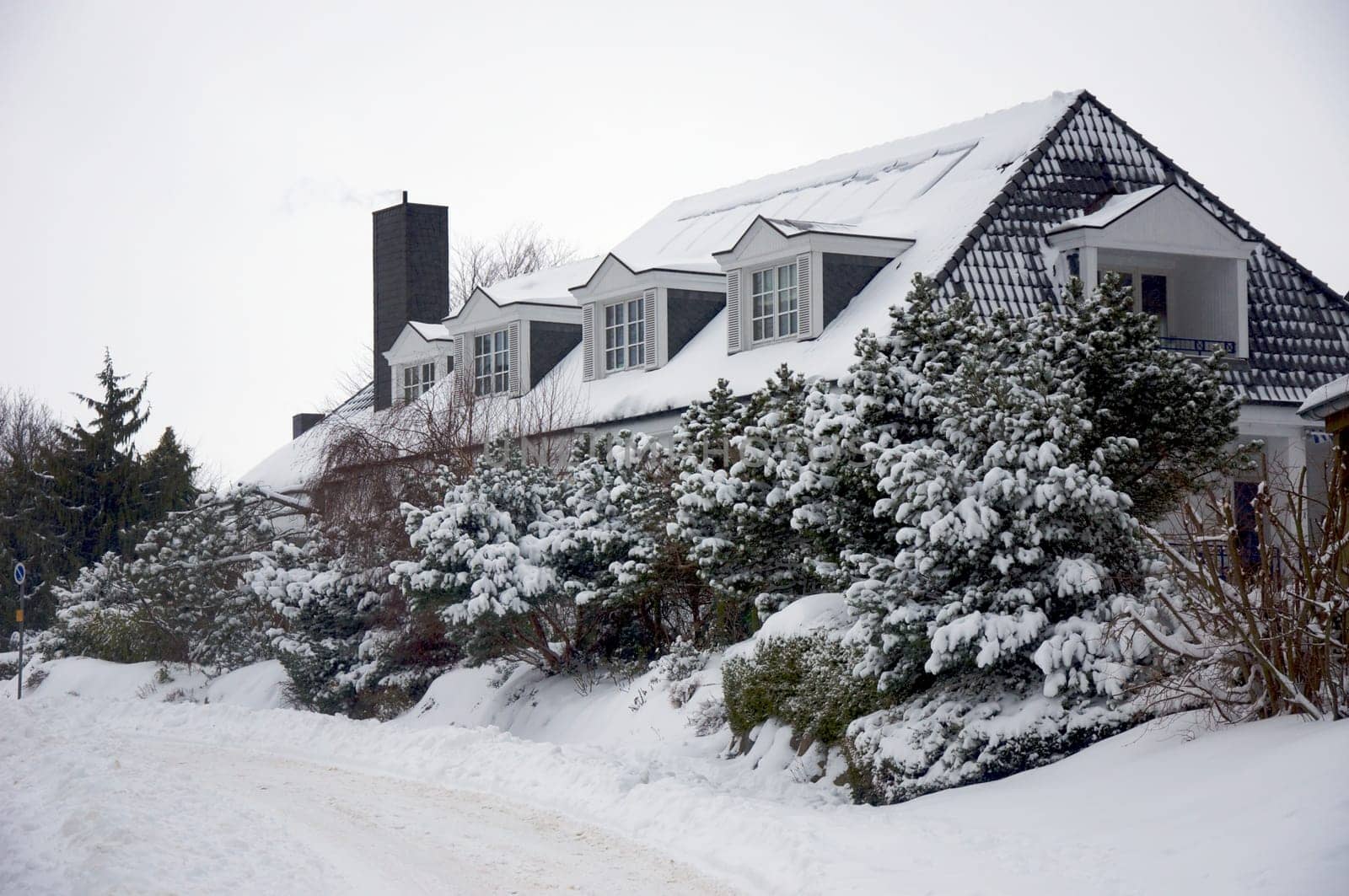 Winter house