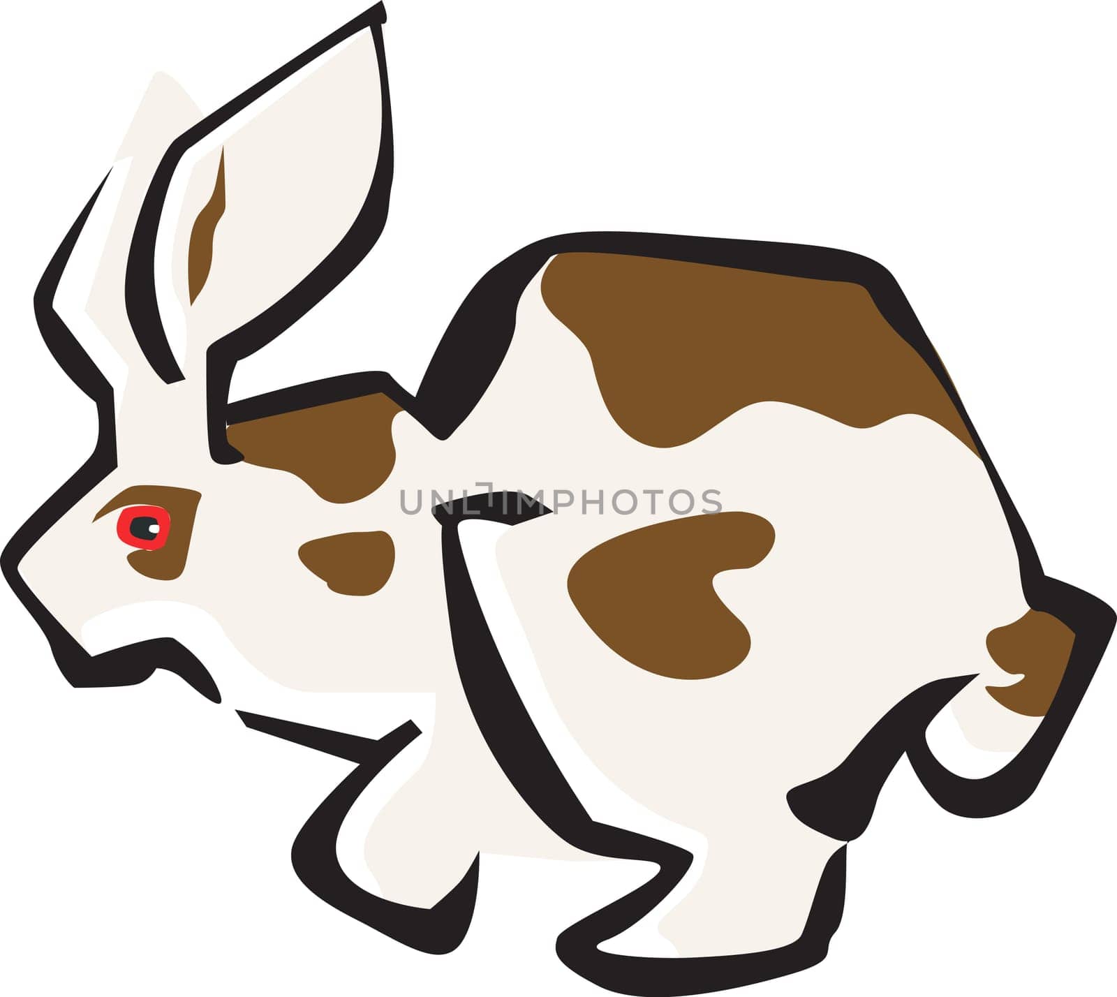 rabbit