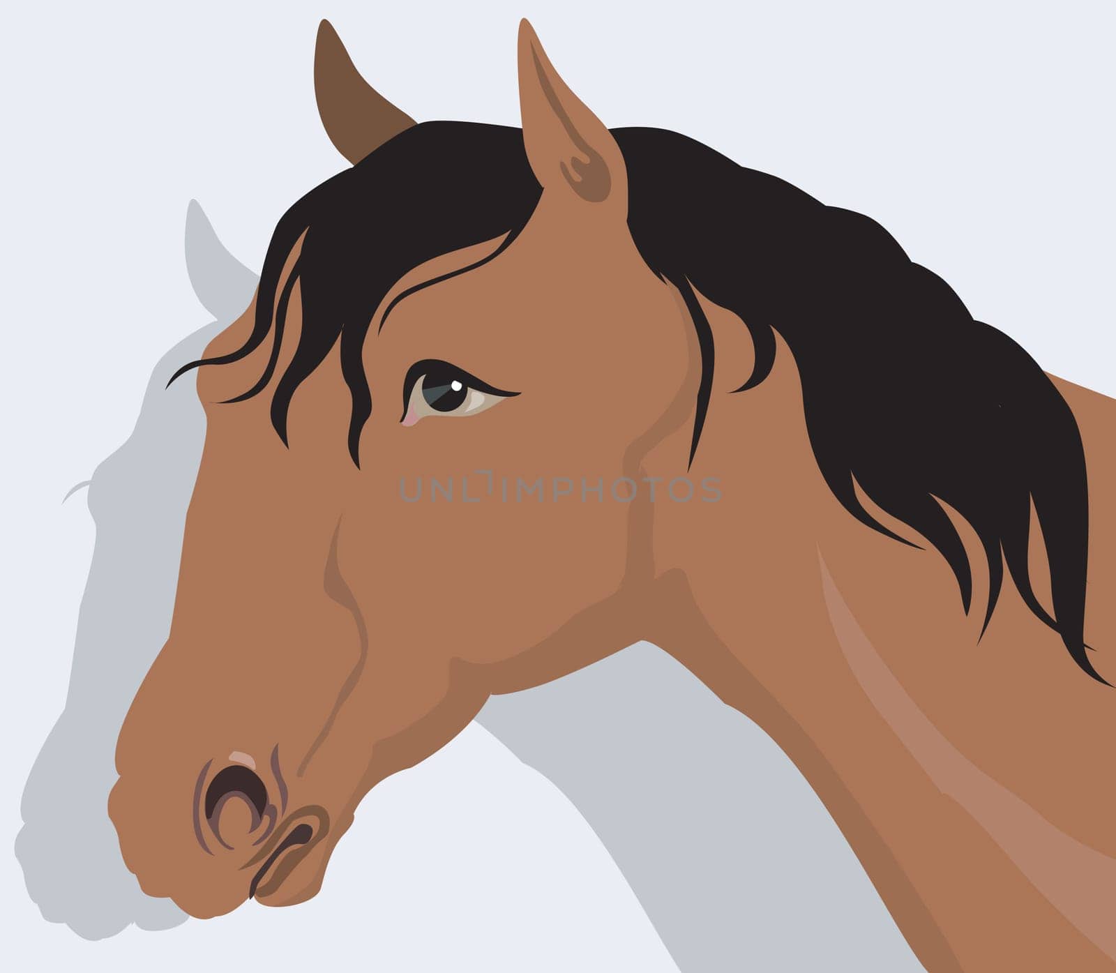 horse