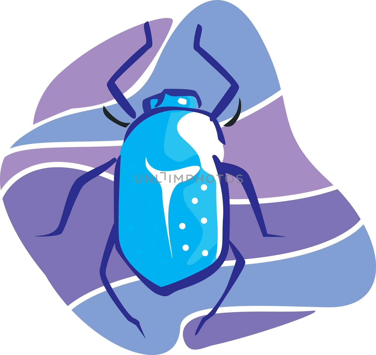insects