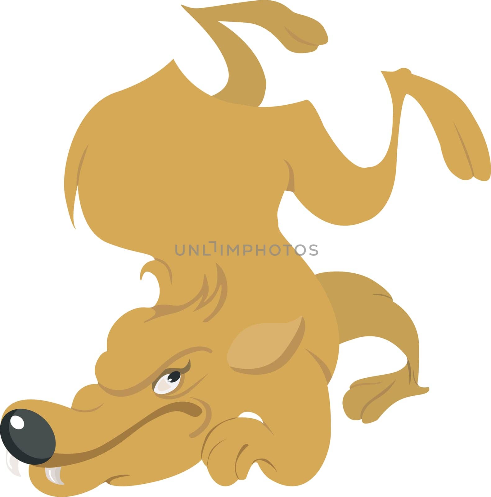 dog