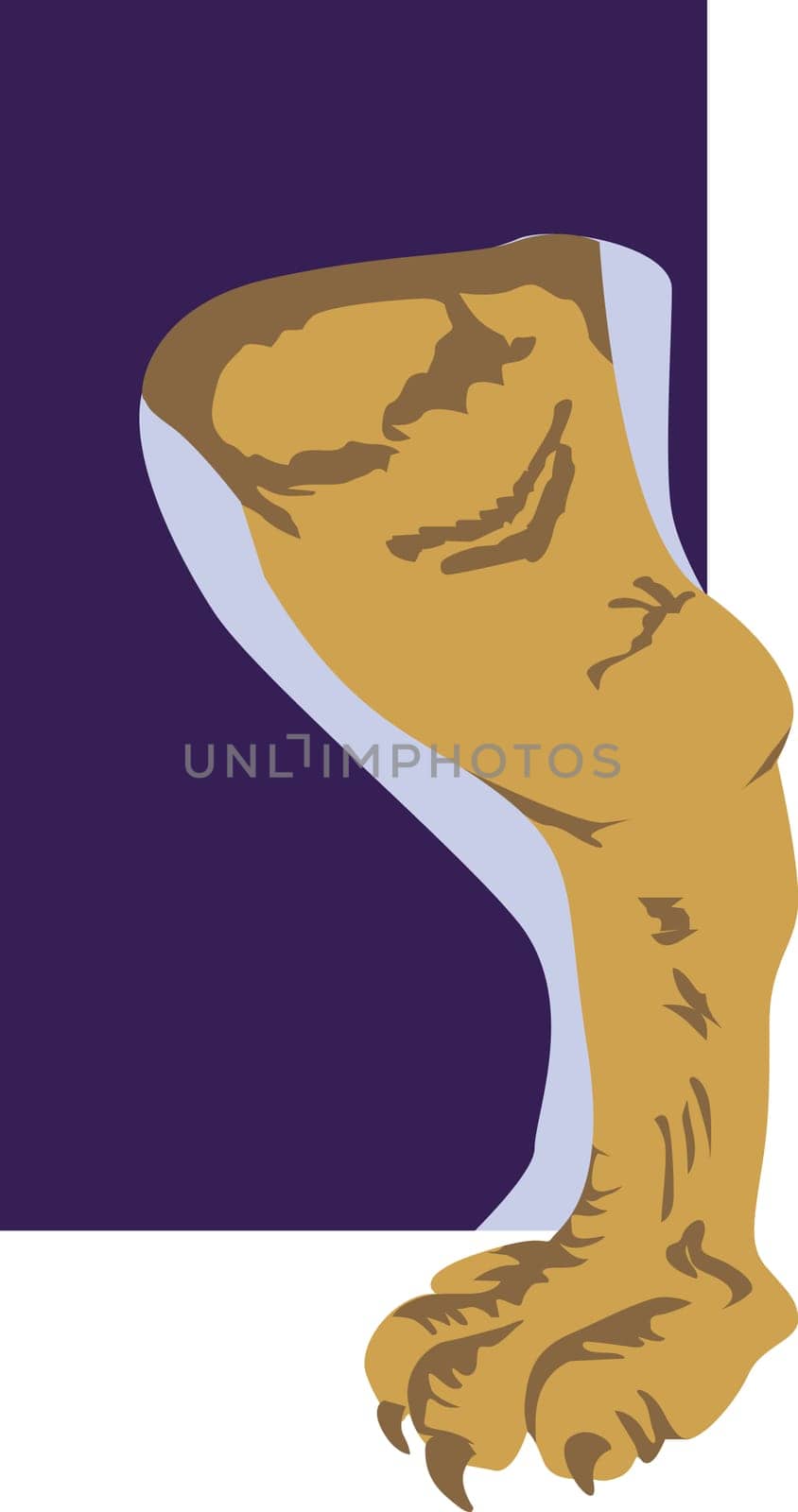 muscular leg