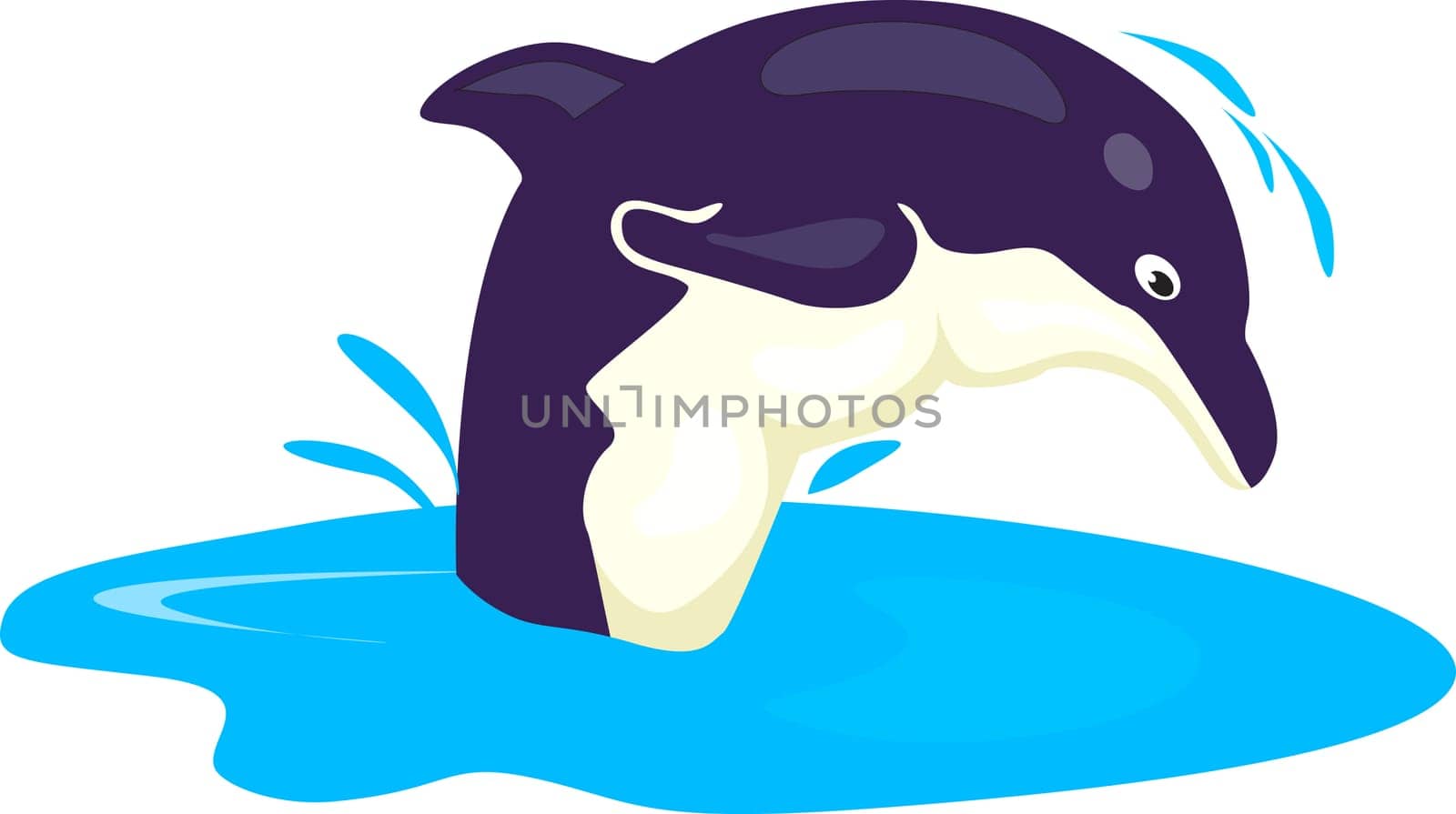 dolphin